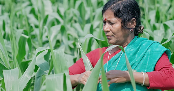 বরেন্দ্র অঞ্চলে ক্ষুদ্র নৃগোষ্ঠীর নারীদের কৃষি কাজ